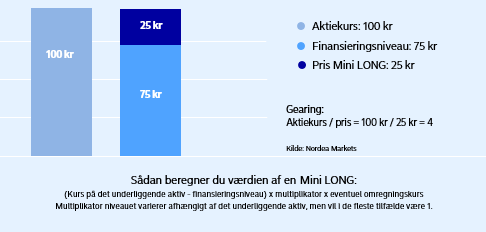 Mini LONG valuation